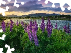 Wanaka, Queenstown, GĂłra, Jezioro, Nowa Zelandia, Ĺubi