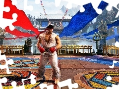 PostaÄ, Gra, Street Fighter 6, Ryu Hoshi