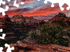 RoĹliny, SkaĹy, Arizona, Szczyt, Stany Zjednoczone, Ni