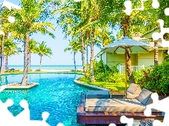 Hotel, Lato, PlaĹźa, Basen, LeĹźaki, Parasol, OgrĂłd, Palmy, Dom