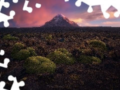 Park Narodowy Sajama, Boliwia, Kamienie, GĂłra, OmszaĹe