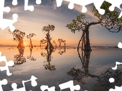 Walakiri Beach, Drzewa, Morze, Wyspa Sumba, Promienie sĹo