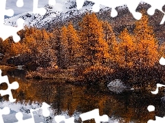 Jezioro, JesieĹ, Drzewa, Modrzewie, ŝóĹte, GĂł