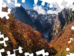 Las, JesieĹ, PoşóĹkĹe, Drzewa, Chmury, WÄ
w