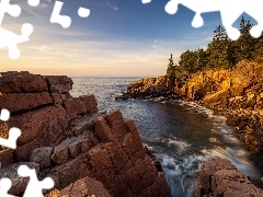 Sosny, SkaĹy, Maine, Drzewa, Morze, Park Narodowy Acadia,