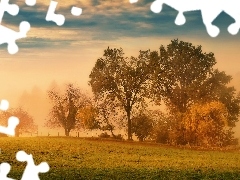MgĹa, ĹÄka, Poranek, Drzewa, WschĂłd sĹoĹca