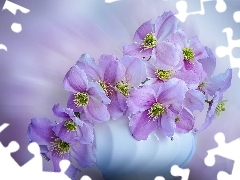 Wazon, BiaĹy, Powojniki, Clematis, Kwiaty