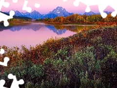 GĂłry, Wyoming, Drzewa, Park Narodowy Grand Teton, Stany Z