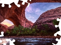 Drzewa, SkaĹy, Utah, Stany Zjednoczone, Rzeka Coyote Gulc