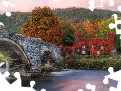 Rzeka, Most, Conwy River, Las, Llanrwst, Walia, Dom, JesieĹ, Drzewa