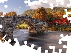 Dom, Most, Conwy River, Llanrwst, Las, Kamienny, Rzeka, Walia, JesieĹ, Drzewa
