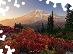 Park Narodowy Mount Rainier, GĂłry, PrzebijajÄce Ĺwi