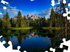Wyoming, Stany Zjednoczone, Park Narodowy Grand Teton, GĂł