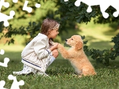 Dziewczynka, Golden retriever, Trawa, Szczeniak