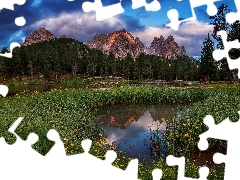 ĹÄka, Alpy, Most, GĂłry, Kwiaty, Dolomity, Odbicie, 