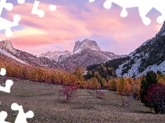 Krzewy, Drzewa, Niebo, MgĹa, JesieĹ, SkaĹy, GĂłry
