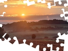 Trawa, Pole, WzgĂłrze, WschĂłd sĹoĹca, Drzewa, ĹÄka