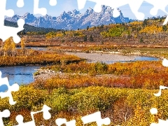 JesieĹ, GĂłry, Las, Stan Wyoming, Drzewa, Park Narodowy Grand Teton, Teton Range, Stany Zjednoczone, Rzeka Snake River, Krzewy