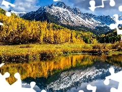 Mount Sneffels, GĂłry, Blue Lake, Jezioro, Drzewa, Stany Z