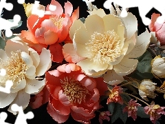 Kwiaty, Piwonie, Grafika, Kolorowe