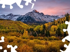 Mount Sneffels, Kolorado, Drzewa, GĂłra, Stany Zjednoczone