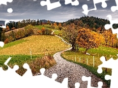Droga, GĂłry, Las, Beskidy, Polska, Drzewa, JesieĹ