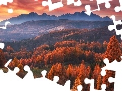 Drzewa, GĂłry, ZachĂłd sĹoĹca, MgĹa, JesieĹ,