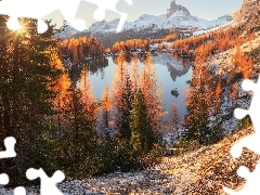 Góry, Jezioro, Drzewa, Las, Promienie słońca, Włochy, Prowincja Belluno, Dolomity, Federa Lake, Mgła, Jesień