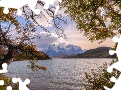 Park Narodowy Torres del Paine, Chile, Jezioro, Drzewa, Gór