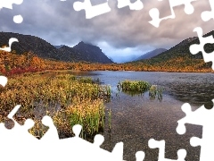 Kołymskie, Drzewa, Rosja, Jezioro, Obwód magadański, Góry, Jesień, Kołyma