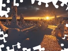 Śnieg, Zima, Drzewa, Chmury, Ośnieżone, Wschód słońca