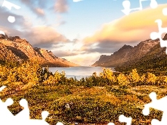 Góry, Norwegia, Fiord, Ersfjorden, Trawa, Jesień, Pożół