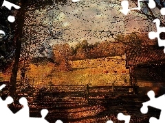 Krowy, Pastwiska, Lasy, Łąki
