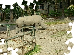 zagroda, Nosorożec