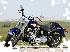 Pas, Napędowy, Harley Davidson Softail