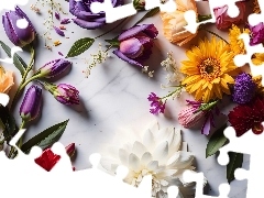 Kompozycja, Grafika, Gerbery, Tulipany, Kwiaty