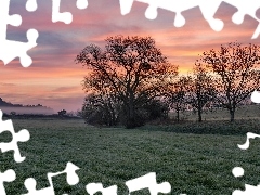 Wschód słońca, Pole, Trawa, Drzewa
