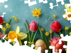 Narcyzy żonkile, Tulipany, Pisanki, Kwiaty, Wielkanoc