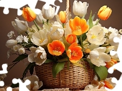 Tulipany, Koszyk, Białe, Pomarańczowe, Kwiaty