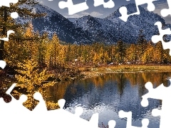 Krzewy, Jesień, Jezioro, Drzewa, Góry
