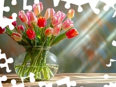 Kwiaty, Wazon, Bukiet, Tulipany