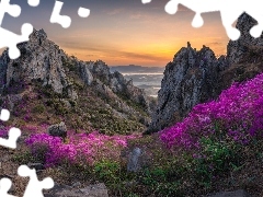 Rododendrony, Skały, Niebo, Kwiaty, Góry, Kamienie, Zachód słońca