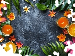 Liście, Kwiaty, Ciemne, Plumeria, Kompozycja, Świeczki, T