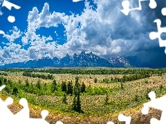 Park Narodowy Grand Teton, Równina, Niebo, Drzewa, Chmury, 