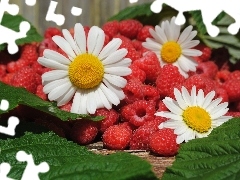 Liście, Maliny, Stokrotki