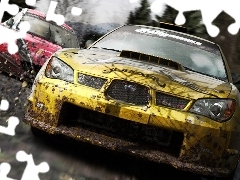 Colin McRae: DiRT 2, Screen