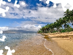 Maui, Stany Zjednoczone, Plaża, Palmy, Morze, Hawaje