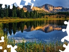 Molas Lake, Stany Zjednoczone, Odbicie, Góry, Las, Chmury, Trawa, San Juan Mountains, Kolorado, Drzewa, Jezioro