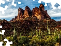 Skały, Tree Sisters, Kaktusy saguaro, Góry, Sonoran Desert, Rośliny, Szczyty, Stany Zjednoczone, Chmury, Superstition Mountains, Pustynia, Arizona