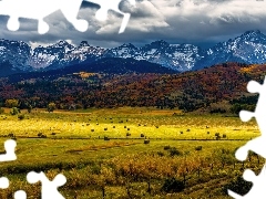 Kolorado, Stany Zjednoczone, Mount Sneffels, San Juan Mountains, Pola, Chmury, Góry, Drzewa, Jesień